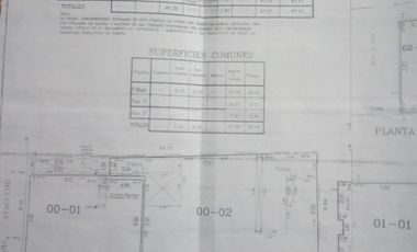 Departamento Tipo Casa en venta en Lanus Este