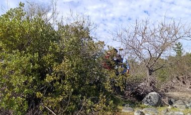 PARCELAS DE AGRADO DE 5.000M2