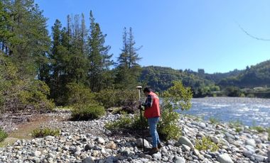 PARCELAS DE AGRADO DE 5.000M2