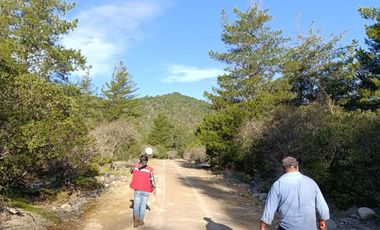 PARCELAS DE AGRADO DE 5.000M2