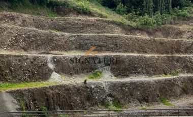 CENTRO DE PUERTO MONTT