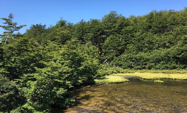 Casa en venta en LAGO VERDE