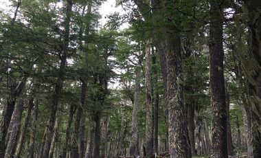 Casa en venta en LAGO VERDE