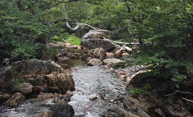 Casa en venta en LAGO VERDE