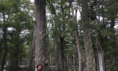 Casa en venta en LAGO VERDE