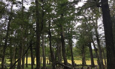 Casa en venta en LAGO VERDE