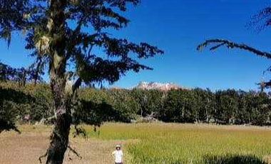 Casa en venta en LAGO VERDE