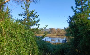 PARCELA CON ORILLA DE RÍO VALDIVIA, CONDOMINIO
