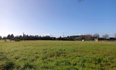 PARCELA CON ORILLA DE RÍO VALDIVIA, CONDOMINIO