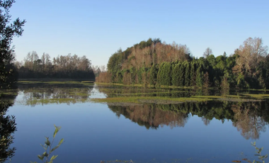 PARCELA CON ORILLA DE RÍO VALDIVIA, CONDOMINIO