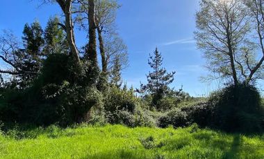 PARCELA CON ORILLA DE RÍO VALDIVIA, CONDOMINIO