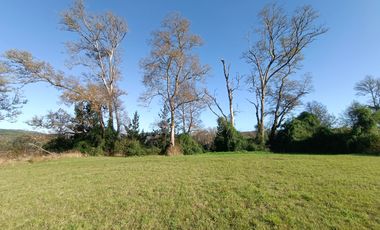 PARCELA CON ORILLA DE RÍO VALDIVIA, CONDOMINIO