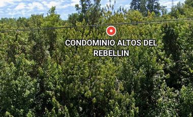 VENTA PARCELA , 5000MTS , CONDOMINIO ALTO REBELLIN  VALDIVIA