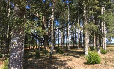 VENTA PARCELA , 5000MTS , CONDOMINIO ALTO REBELLIN  VALDIVIA