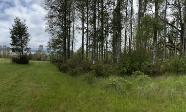 VENTA PARCELA , 5000MTS , CONDOMINIO ALTO REBELLIN  VALDIVIA