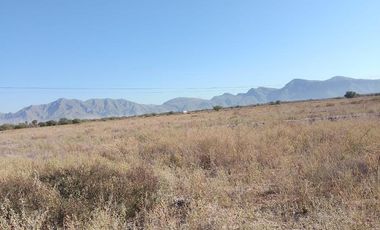 TERRENO EN VENTA EN EJIDO ANDALUCÍA MATAMOROS, COAHUILA