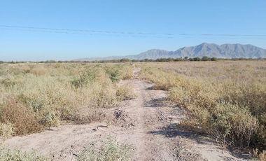 TERRENO EN VENTA EN EJIDO ANDALUCÍA MATAMOROS, COAHUILA