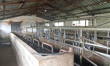 Finca en Venta