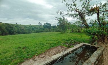 Finca en Venta