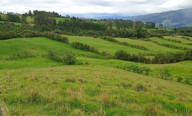 Finca en Venta