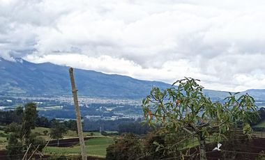 Finca en Venta
