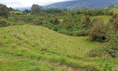 Finca en Venta