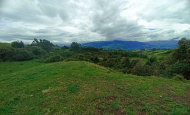 Finca en Venta