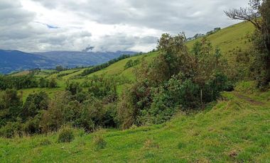 Finca en Venta