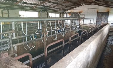 Finca en Venta