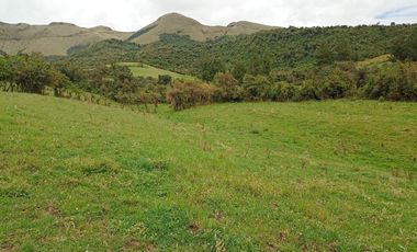 Finca en Venta