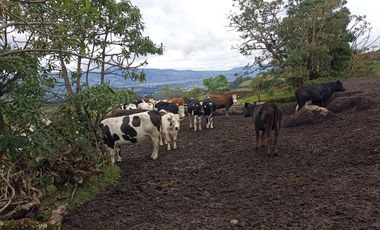Finca en Venta