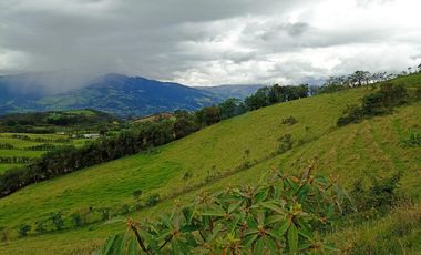 Finca en Venta