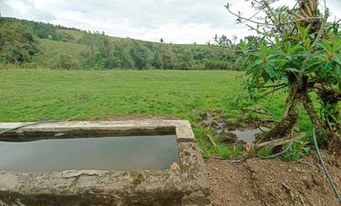 Finca en Venta