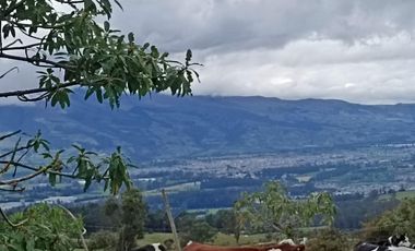Finca en Venta