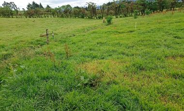Finca en Venta