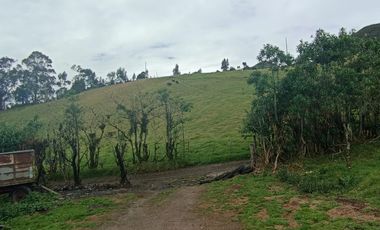 Finca en Venta