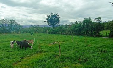 Finca en Venta