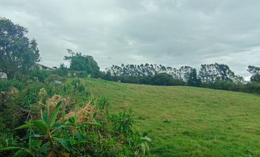 Finca en Venta