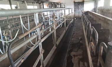 Finca en Venta
