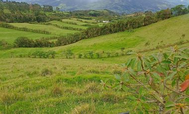 Finca en Venta