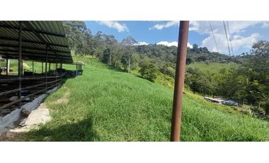 VENTA FINCA GANADERA O AGROTURISTICA SECTOR CALARCA