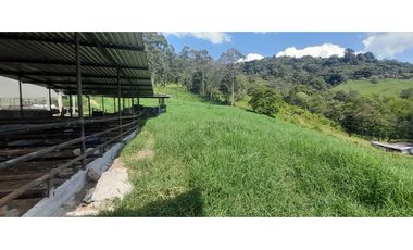 VENTA FINCA GANADERA O AGROTURISTICA SECTOR CALARCA