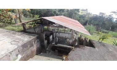 VENTA FINCA GANADERA O AGROTURISTICA SECTOR CALARCA
