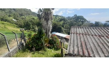 VENTA FINCA GANADERA O AGROTURISTICA SECTOR CALARCA