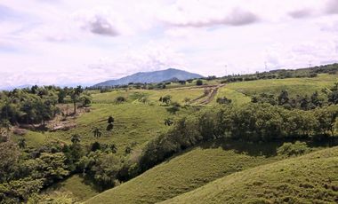 VENTA CASA CAMPESTRE SECTOR LA CARMELITA CERRITOS PEREIRA