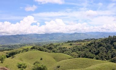 VENTA CASA CAMPESTRE SECTOR LA CARMELITA CERRITOS PEREIRA