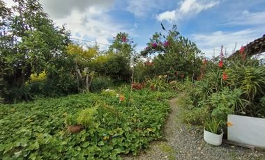 Arriendo Apartamento Cristo Rey, Carmen de Vibooral