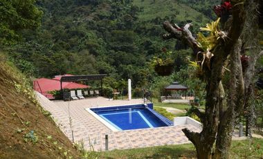 VENTA DE FINCA HOTEL SECTOR BUENAVISTA QUINDIO