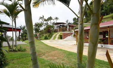 VENTA DE FINCA HOTEL SECTOR BUENAVISTA QUINDIO
