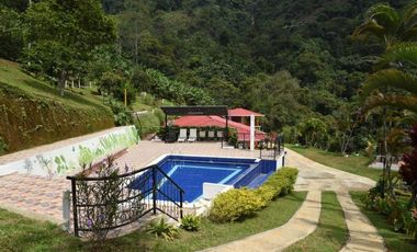 VENTA DE FINCA HOTEL SECTOR BUENAVISTA QUINDIO